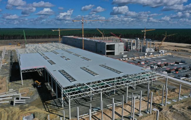 Не в змеях дело: Эксперты озвучили настоящие причины остановки Tesla